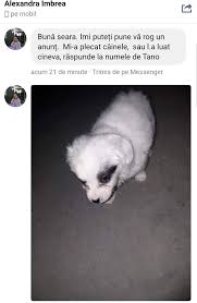 We did not find results for: Gioseni Startseite Facebook