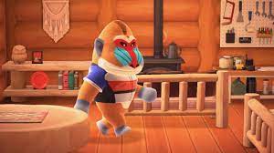 Check spelling or type a new query. Animal Crossing New Horizons House Tour Boone Villager Youtube