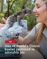 Australian Reptile Park (@austreptilepark)