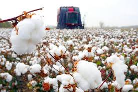 新疆棉花这件事堪比 nba，各位为什么不去加速？ 新疆棉花这件事堪比 nba，各位为什么不去加速？ 在国内看到好多帖子了，比如： 69x Ezmcvtgznm