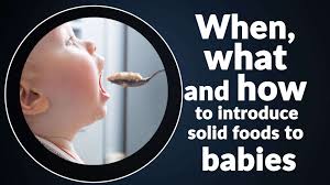 Introducing wheat alongside other solids. Baby Feeding Schedule When What And How To Introduce Solid Foods To Babies