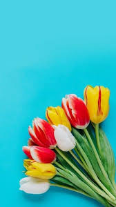 Please contact us if you want to publish a hp wallpaper on our site. Download Wallpaper Bunga Hd Hd Cikimm Com