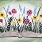 Nature's Story