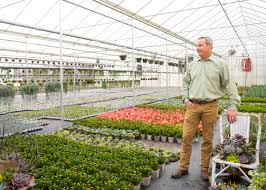 The home depot canada garden centre carries a wide variety of garden supplies. Home Depot Garden Center Home Decor