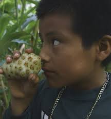 Los Médicos de la Montaña (2020)