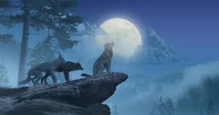 I begin by loosely sketching out the basic shapes of the wolf and then refine them before going around it with a fine line pen. Howling Wolves Stock Video Footage Royalty Free Howling Wolves Videos Pond5