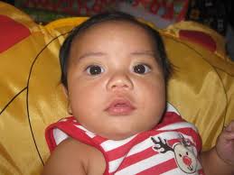 Gold Coast Bulletin 2014 Baby Book