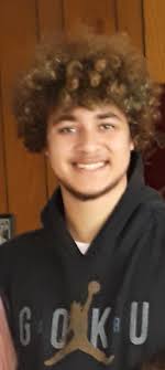 Obituary for Gabriel Arin Robinson