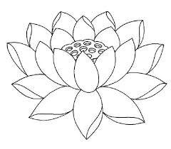 Lotus Flower Coloring Pages Free Lotus Flower Colors Flower Drawing Lotus Flower Drawing