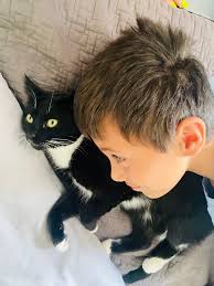 Lost Whismers: Where Do They Go?