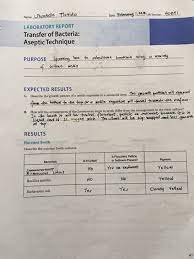 This was done through putting the sterile media through various environments. Date å£¬eleeeng H 10 8 Lab Section 40er Name Chegg Com