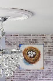 How To Install Ceiling Medallions The
