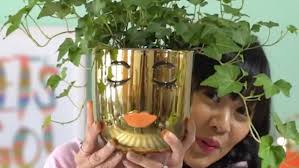 The new Oh Joy! collection for Target will definitely bring cuteness to  your apartment during the winter lull