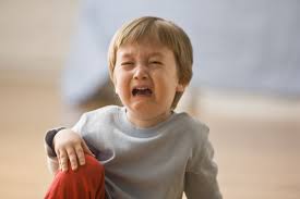 Check spelling or type a new query. Lombardy Elementary School Hurt Feelings Report