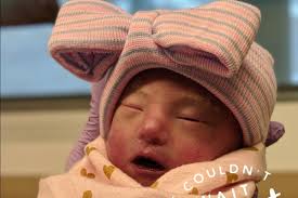 Fundraiser for Michael Tusa by Amanda Rotz : ♥️ Sweet Gracie Lou♥️