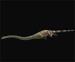 Image result for Tanystropheus