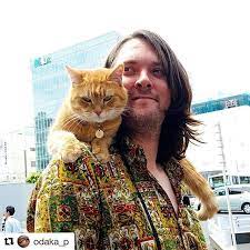 exploring tokyo sightseeing in tokyo bobderstreuner streetcat bob street cat bob a cat named bob cats