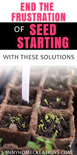 Common Seed Starting Problems And Ways To Fix Them Starting Seeds Indoors Organic Gardening Tips Seed Starting