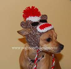 Sock Monkey Dog Hat Custom Made For Dog 2 15 Lbs Small Dog Etsy Dog Beanie Dog Hat Dog Skeleton