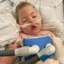 Fundraiser for Logan Murphy by Margaret Piercy : Stand with the Murphy  Family Now