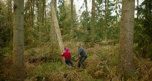 Although the tone is occasionally muddled. Trailer Systemsprenger