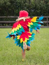 Papagei Kostum Papagei Kostum Selber Machen Papagei Kostum Kostume Selber Machen