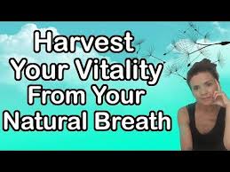 Personal Development Through Awareness Of The Natural Breath Breathing Exercises Le In 2020 Yoga Inspiration Quotes Pranayama Breathing Exercises Yoga For Beginners