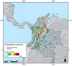 Image result for Kotschya uguenensis