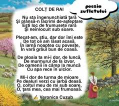 Daca stiti batranei care au o gradina sau un loc micut de vanzare va rog sa ma contactati. Pin By Veronica Cuzub On Poezii Parrot