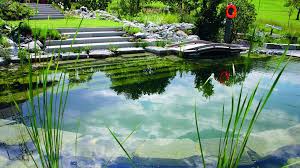 Biotop Natural Pools Garden Ponds Nature Pools Swimming Pond Natural Pool Natural Swimming Pools