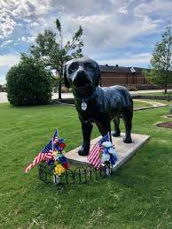 We hope you have a safe and enjoyable holiday weekend! Pet Medical Center Of Edmond Home Facebook