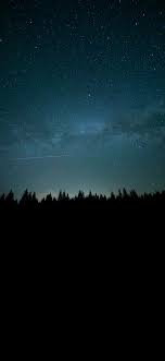 Shooting Star Night Forest Night Forest Stars At Night Forest Wallpaper