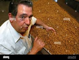 Mike Braga, manager of Sherman Thomas Ranch, talks about almond  pasteurization Monday, June 25, 2007 in Madera, Calif. A new federal  regulation will require that most of California's $1.4-billion-plus almond  crop be