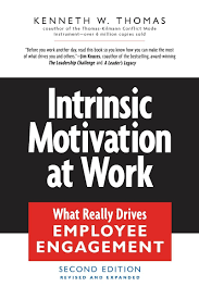 Scaled agile framework is helping knowledge workers achieve autonomy, mastery, and purpose, which are the key factors in unlocking intrinsic motivation. Intrinsic Motivation At Work What Really Drives Employee Engagement Thomas Kenneth W 9781576752388 Amazon Com Books