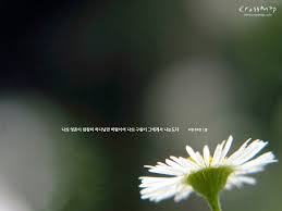 Free Download Bible Quotes Desktop Wallpaper Live Bible Quotes 1024x768 For Your Desktop Mobile Tablet Explore 75 Bible Verse Desktop Wallpaper Free Christian Wallpapers With Bible Verses Christian Wallpapers You can download and install the wallpaper and also utilize it for your desktop computer. bible verse desktop wallpaper