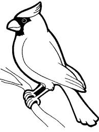 Sketsa burung, umumnya dibuat sebelum kita menggambar dan mewarnai hewan ini secara utuh atau sempurna. Sketsa Burung Docx