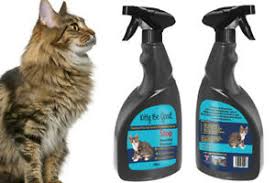 Kitty Be Good Anti Scratch Spray Stop Cat Scratching Wallpaper Carpet Sofa 500ml For Sale Online Ebay