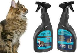 Browse our selection of catnip plants, sprays, treats as well as dried organic catnip here. Kitty Be Good Anti Scratch Spray Stop Cat Scratching Wallpaper Carpet Sofa 500ml 5060629390208 Ebay