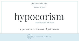 Word Of The Day Hypocorism Uncommon Words Words Cool Words