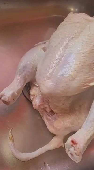 Three legged chicken
