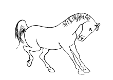 Pferde ausmalbilder mit fohlen ausmalbilder mit pferden kostenlos. Ausmalbilder Pferde Und Ponys Stute Fohlen Und Esel