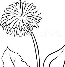 Signup to get the inside scoop from our monthly newsletters. How To Draw A Dandelion Coloring Page Trace Drawing
