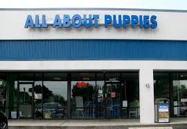 I worked there for about a year and i absolutely loved it. All About Puppies In Largo Home Facebook
