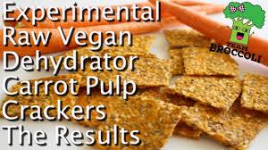 ep 390 experimental raw carrot pulp dehydrator crackers the result