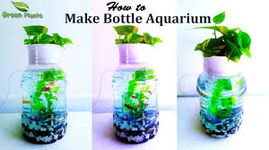 Bottle Aquarium How To Make Plastic Bottle Aquarium Small Aquarium W Plastic Bottles Bottle Green Plants