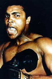 What are the key qualities of a great fighter?