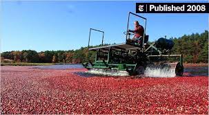 Wikipedia, lexilogos, larousse dictionary, le robert, oxford, grévisse Cranberries Go Abroad A Tonic For An Ailing Industry The New York Times