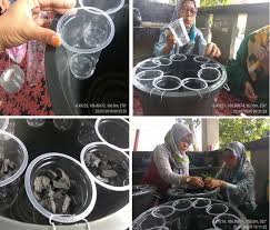 Budikdamber Budidaya Tanaman Dan Ikan Dalam Ember