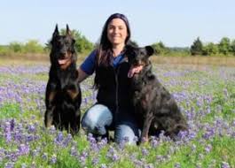 If you have a filter set, try removing the filter via the button above. 7 Best Beauceron Breeders In The United States 2021 We Love Doodles