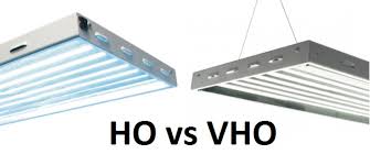 We did not find results for: Growing Marijuana With Fluorescent Lights Including Cfl S